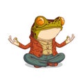 Zen frog, isolated vector illustration. Meditating humanized frog