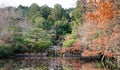 The zen garden at autumn in Kyoto, Japan Royalty Free Stock Photo