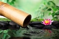 Zen garden with bamboo fountain against blurred background Royalty Free Stock Photo