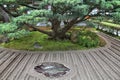 Zen garden - Buddhism Royalty Free Stock Photo