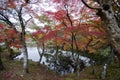 Zen garden at Kodai temple in Kyoto