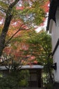 Zen garden at Kodai temple in Kyoto