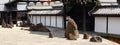 Zen garden in Kyoto