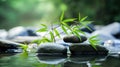 Zen garden with massage basalt stones and bamboo. Spa background Royalty Free Stock Photo