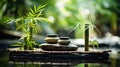 Zen garden with massage basalt stones and bamboo. Spa background Royalty Free Stock Photo