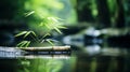 Zen garden with massage basalt stones and bamboo. Spa background Royalty Free Stock Photo