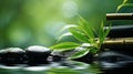 Zen garden with massage basalt stones and bamboo. Spa background Royalty Free Stock Photo