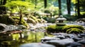 Zen garden with massage basalt stones and bamboo. Spa background Royalty Free Stock Photo