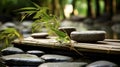 Zen garden with massage basalt stones and bamboo. Spa background Royalty Free Stock Photo