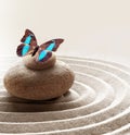 Zen garden meditation stone background and butterfly with stones and circles in sand for relaxation balance and harmony