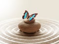 Zen garden meditation stone background and butterfly with stones and circles in sand for relaxation balance and harmony