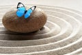 Zen garden meditation stone background and butterfly with stones and lines in sand for relaxation balance and harmony spirituality Royalty Free Stock Photo
