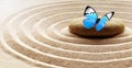 Zen garden meditation stone background and butterfly with stones and lines in sand for relaxation balance and harmony spirituality Royalty Free Stock Photo