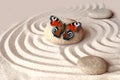 zen garden meditation stone background and butterfly with stones and lines in sand for relaxation balance and harmony Royalty Free Stock Photo