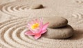 Zen garden meditation stone background and flower with stones and lines in sand for relaxation balance and harmony Royalty Free Stock Photo