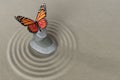 Zen garden meditation stone with butterfly