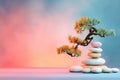 Serene Bonsai and Stones Royalty Free Stock Photo