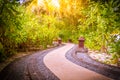 Zen garden, wellness and spa concept for well-being background Royalty Free Stock Photo