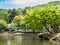 Zen Garden of Tenryu-ji, Heavenly Dragon Temple. In Japan