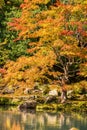 Zen garden in Tenryu-ji temple in autumn season Royalty Free Stock Photo