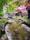 Zen gardens somehow convince you heaven exist