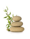 Zen grey stones and green bamboo escape isolated on white background Royalty Free Stock Photo