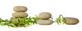 Zen grey stones group and green bamboo horizontal escape isolated on white background Royalty Free Stock Photo