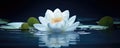 Zen-Inspired Floating Flower A Symbol Of Serenity And Elegance