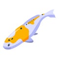 Zen koi carp icon, isometric style Royalty Free Stock Photo