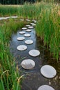 Zen like stone path in water Royalty Free Stock Photo