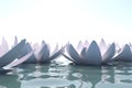 Zen loto flowers in water Royalty Free Stock Photo