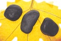 Zen Massage Stones on an Autumn Leaf Royalty Free Stock Photo