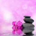 Zen massage stones and orchid flowers reflected in water