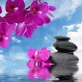Zen massage stones and orchid flowers reflected in water Royalty Free Stock Photo