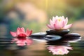Zen meditation harmony. Beautiful lotus flower