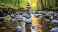 Zen meditation landscape Royalty Free Stock Photo