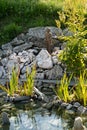 Zen ornamental pound, standing Buddha statue. Embellished with rocks and pretty stones. Water iris and aquatic plants