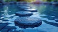 Zen Path: Blue Water Step Stones Royalty Free Stock Photo