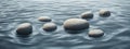 Zen path of stones in widescreen Royalty Free Stock Photo