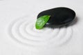 Zen pebble and green leaf Royalty Free Stock Photo