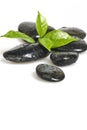 Zen pebble and green leaf Royalty Free Stock Photo