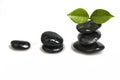 Zen pebble and green leaf Royalty Free Stock Photo