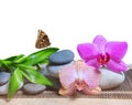 Zen pebbles with bamboo leaves and orchid flowers on white background. Royalty Free Stock Photo