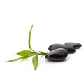 Zen pebbles path. Spa and healthcare concept.