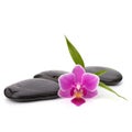 Zen pebbles path. Spa and healthcare concept.