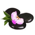 Zen pebbles. Spa Stones and Pink Orchid Flower with Green Leaves Royalty Free Stock Photo