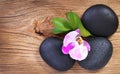 Zen pebbles. Spa Stones and Pink Orchid Flower with Green Leaves Royalty Free Stock Photo