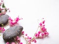 Zen pubbles with pink flowers on white table