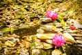 Zen rock arrangement along hiking trail mountains of Nepal Royalty Free Stock Photo