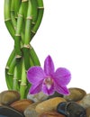 Zen Rock, Bamboo and Orchid Background Royalty Free Stock Photo